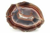 Vibrant, Polished Candy Agate - Malawi #255146-1
